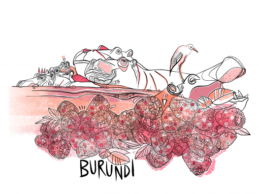 single_origin_coffee_beans_Burundi