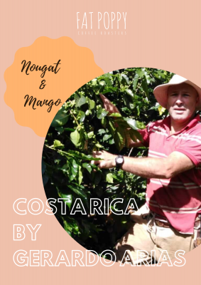 Fat Poppy Single Origin Coffee Costa Rica